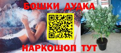 дживик Кунгур