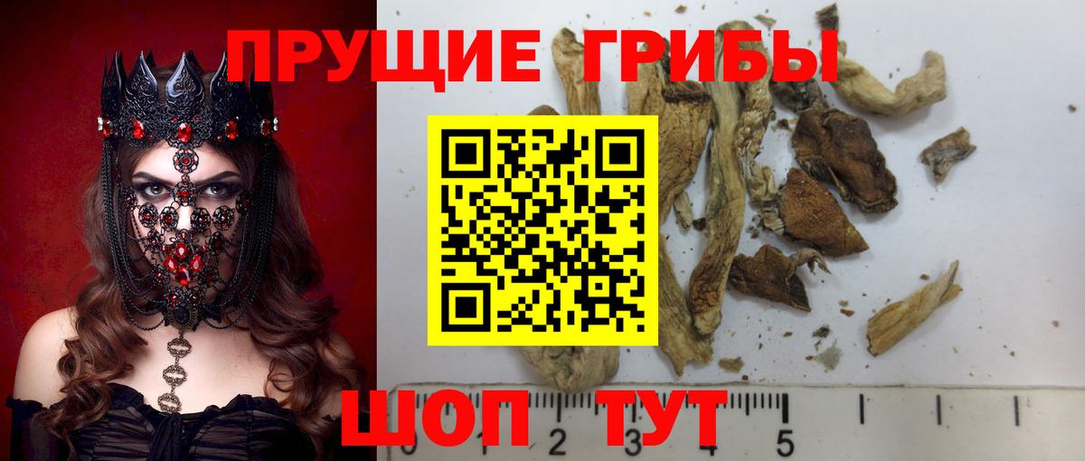 Псилоцибиновые грибы ЛСД  Галлюциногенные грибы GOLDEN TEACHER  Вход с VPN  Шелехов 